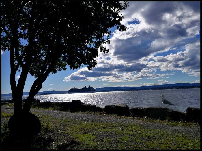 20045382_10213901975174106_5175736281188030336_o