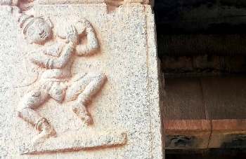 50874016_225701258373291_3736738722817769472_n